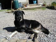 Hier waak ik ook!